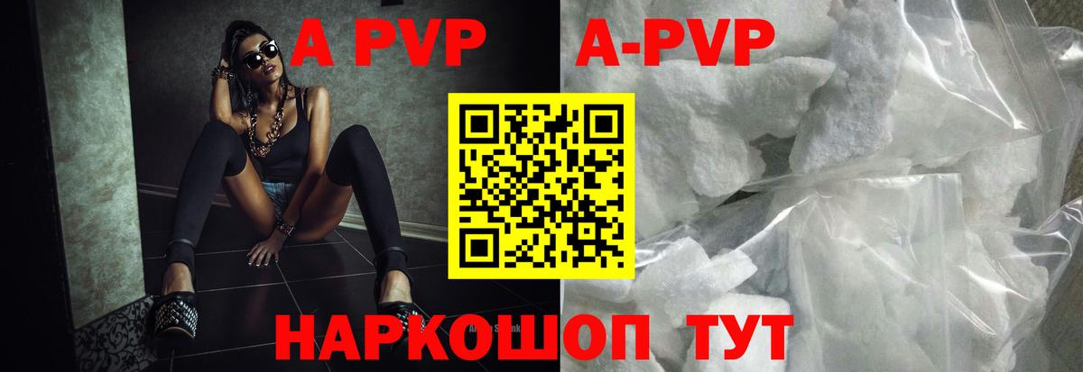 Альфа ПВП СК КРИС Кириши